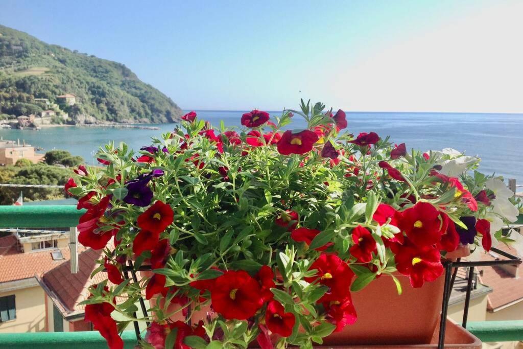 Splendido Appartamento Vista Mare Λεβάντο Εξωτερικό φωτογραφία