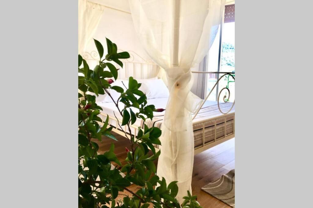 Splendido Appartamento Vista Mare Λεβάντο Εξωτερικό φωτογραφία